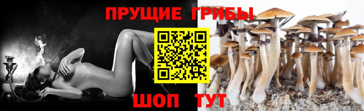 Псилоцибиновые грибы GOLDEN TEACHER Дятьково